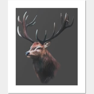 Deer Portrait Posters and Art